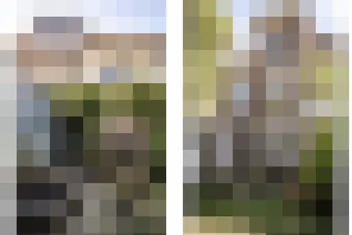 Westerhoutpark 1 Haarlem thumbnail 23