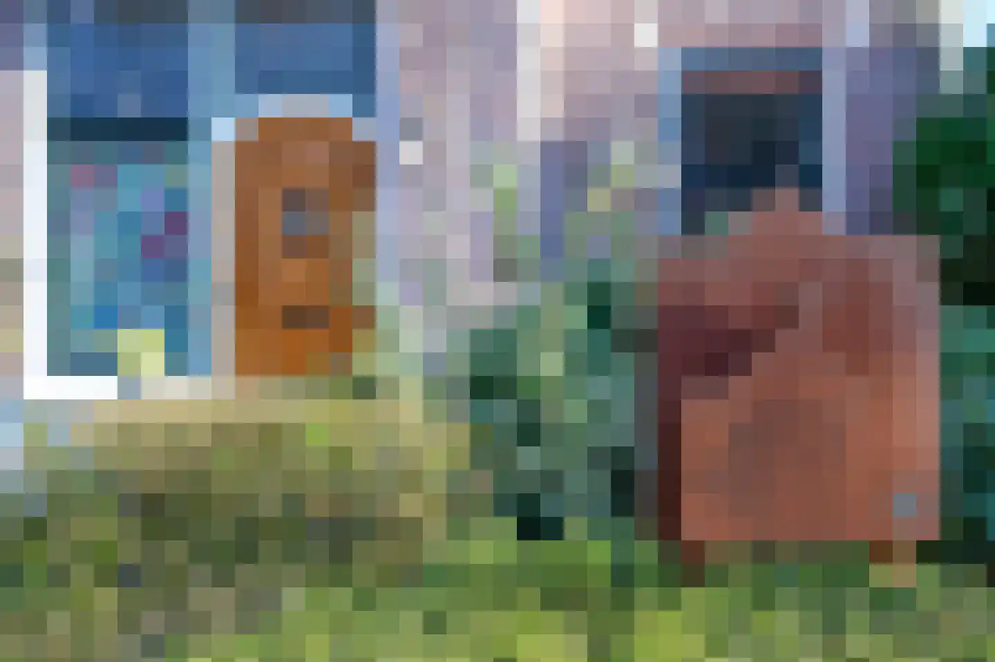Westerhoutpark 14 A Haarlem thumbnail 30