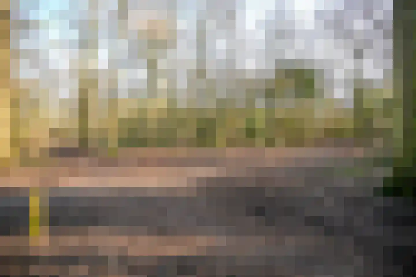 Westerhoutpark 14 A Haarlem thumbnail 34