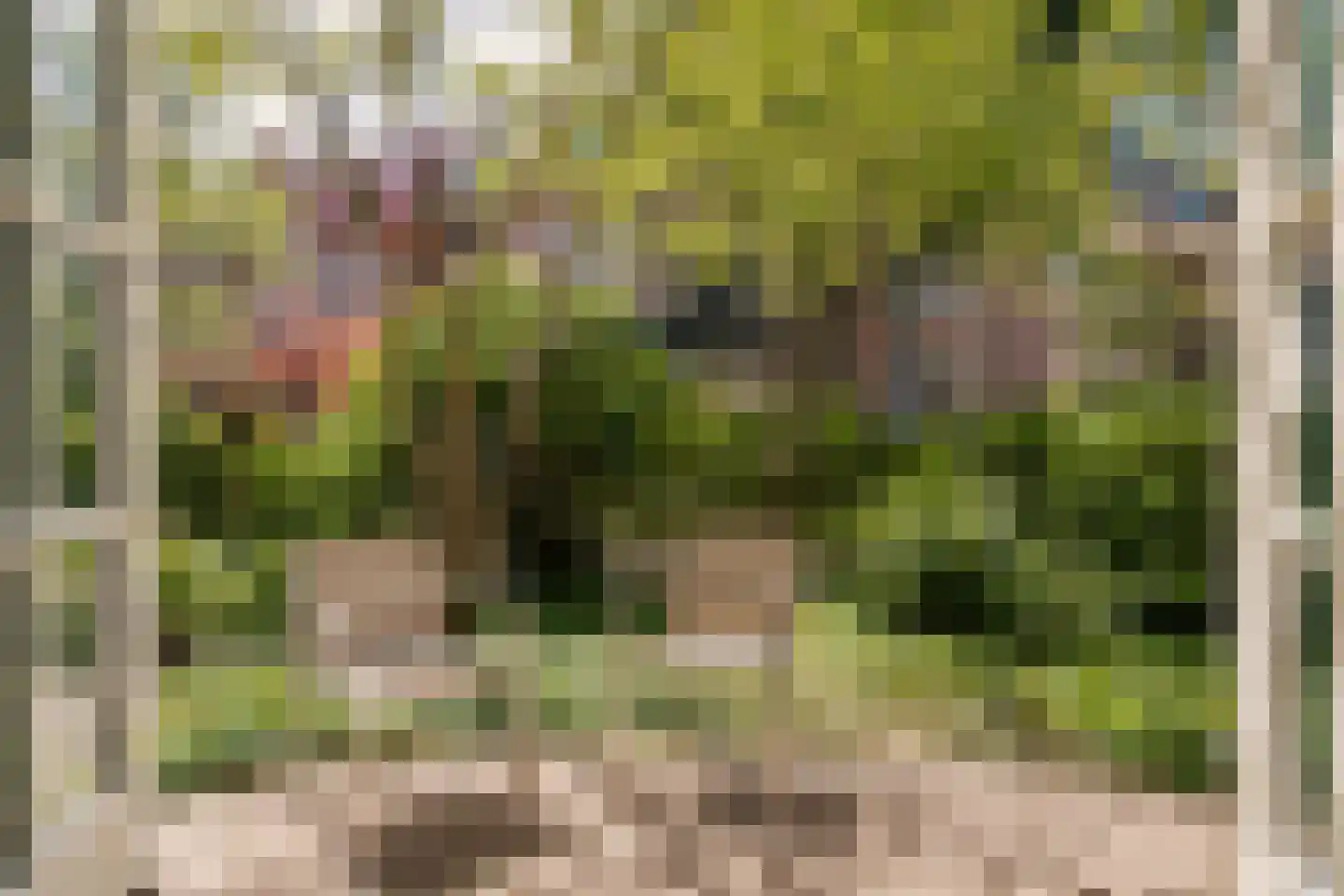 Westerhoutpark 20 Haarlem thumbnail 14