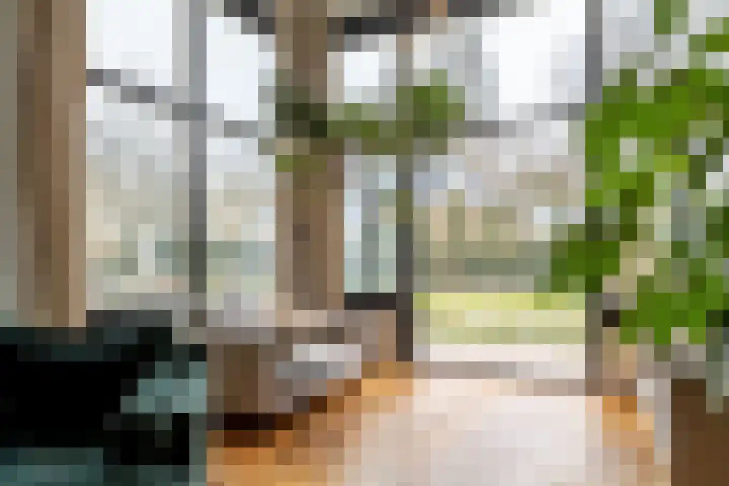 Westerhoutpark 20 Haarlem thumbnail 19