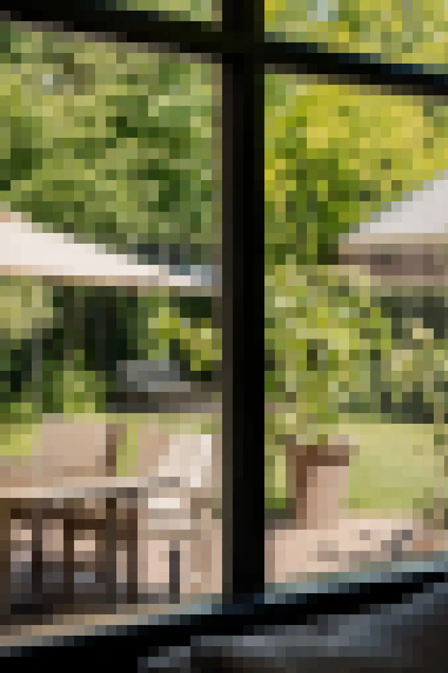 Westerhoutpark 20 Haarlem thumbnail 21