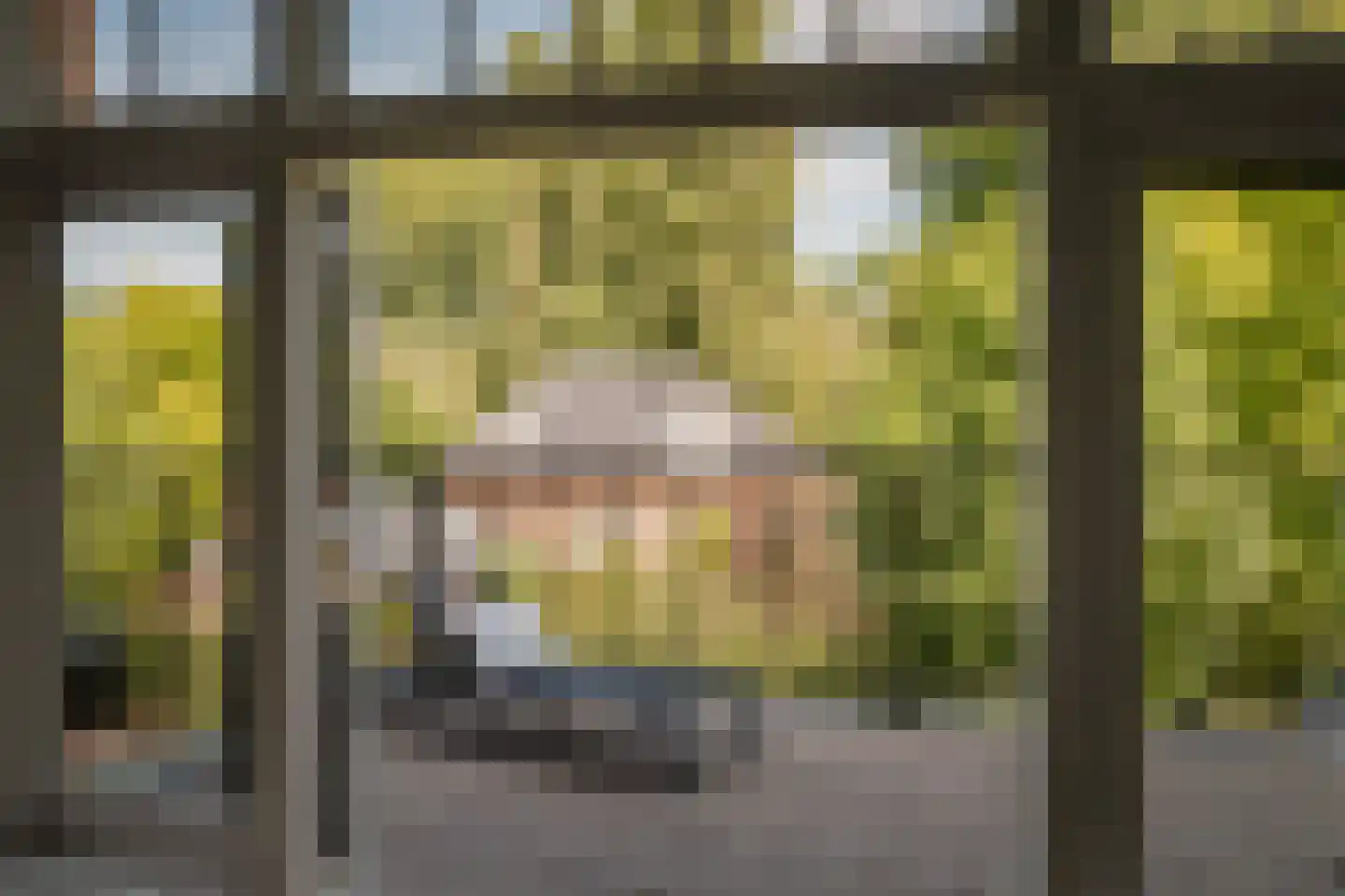 Westerhoutpark 20 Haarlem thumbnail 29