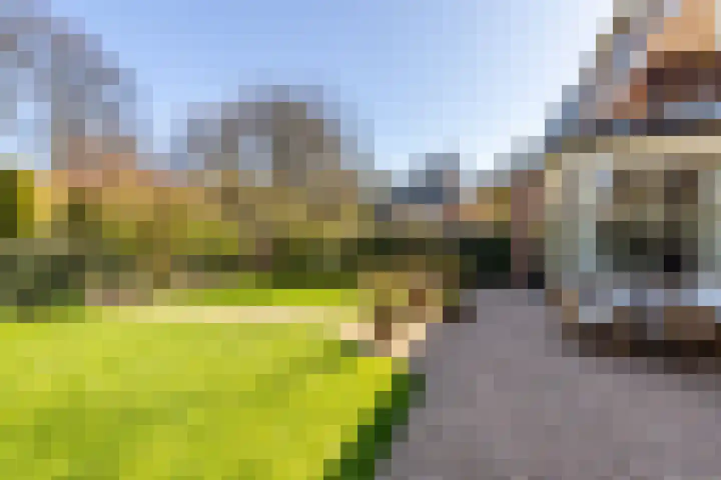 Westerhoutpark 20 Haarlem thumbnail 4