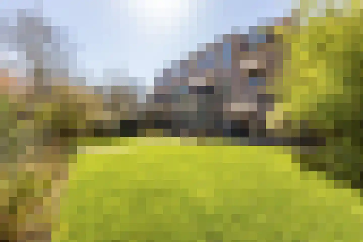 Westerhoutpark 20 Haarlem thumbnail 47