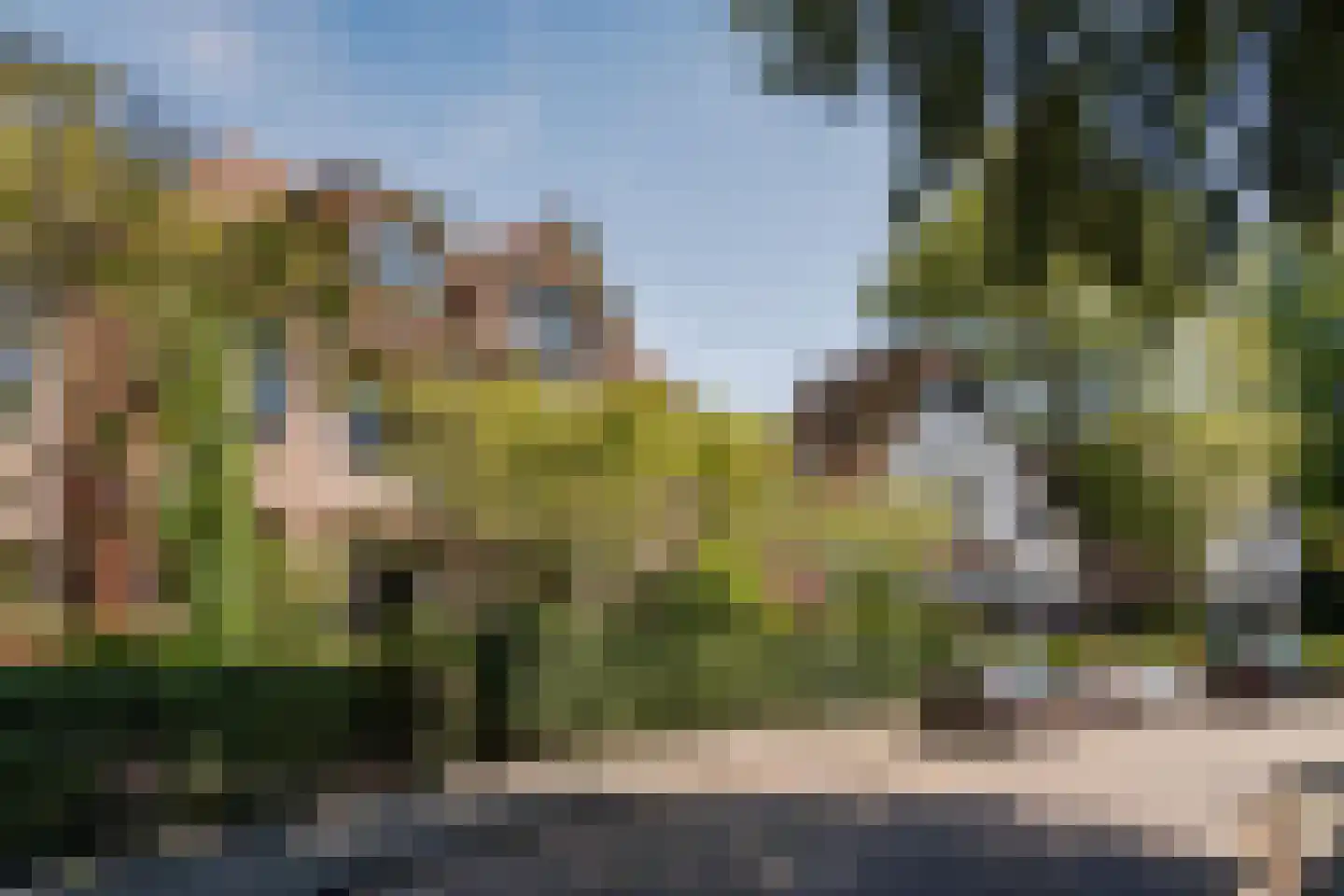 Westerhoutpark 20 Haarlem thumbnail 5
