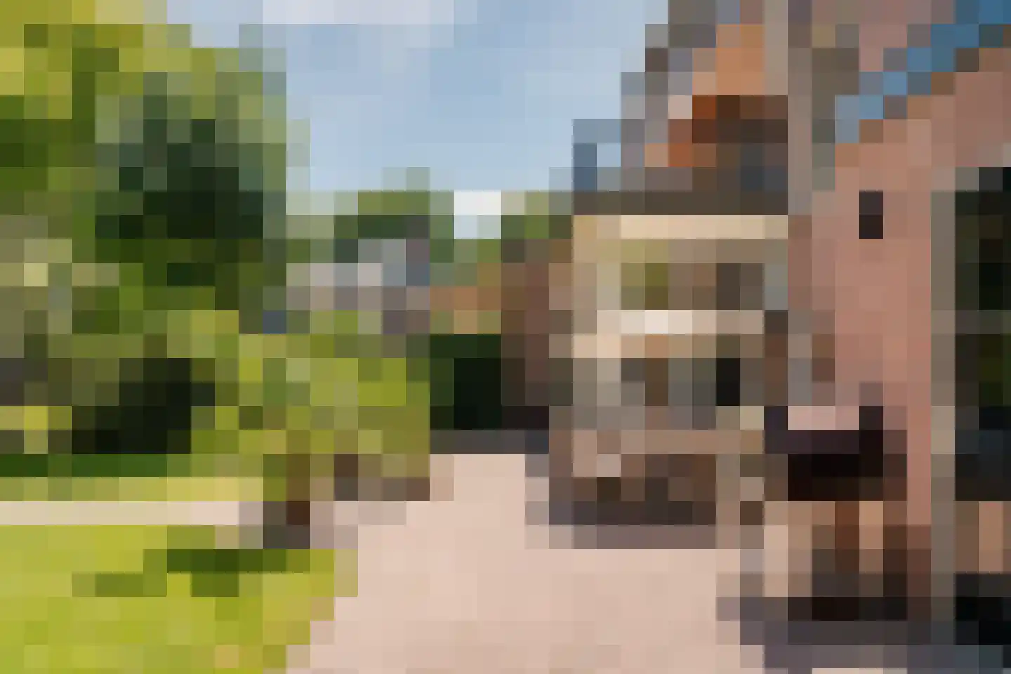 Westerhoutpark 20 Haarlem thumbnail 51