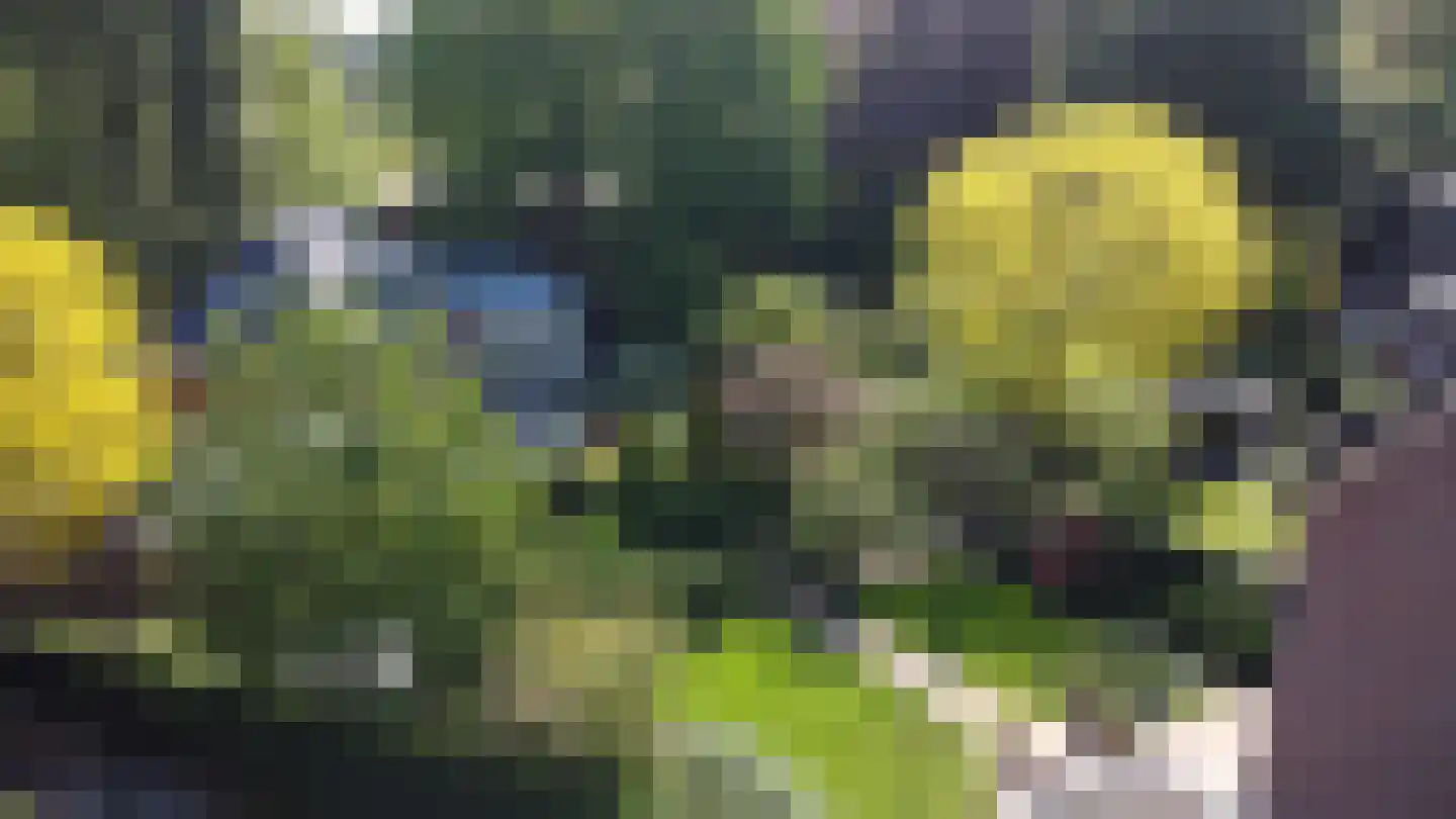 Westerhoutpark 20 Haarlem thumbnail 54