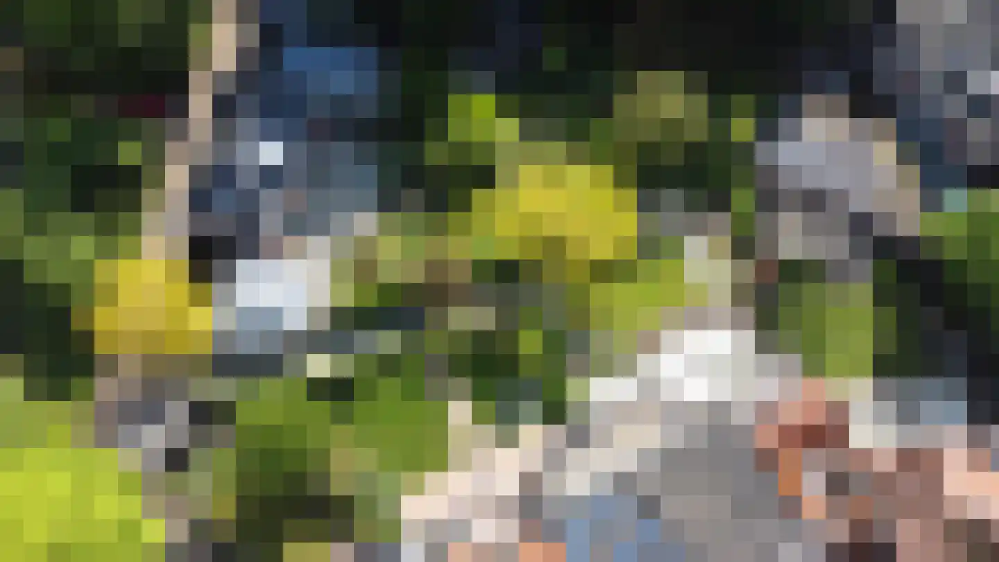 Westerhoutpark 20 Haarlem thumbnail 55