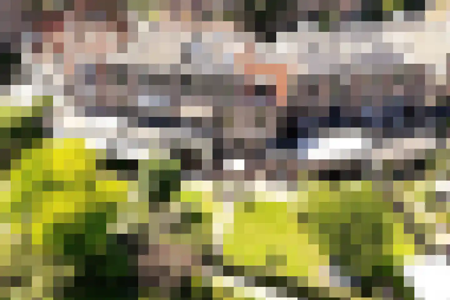 Westerhoutpark 20 Haarlem thumbnail 56
