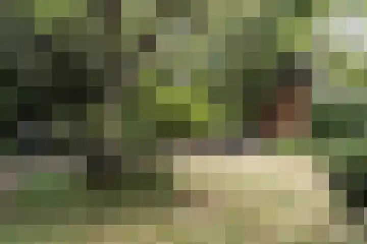 Westerhoutpark 3 Haarlem thumbnail 16