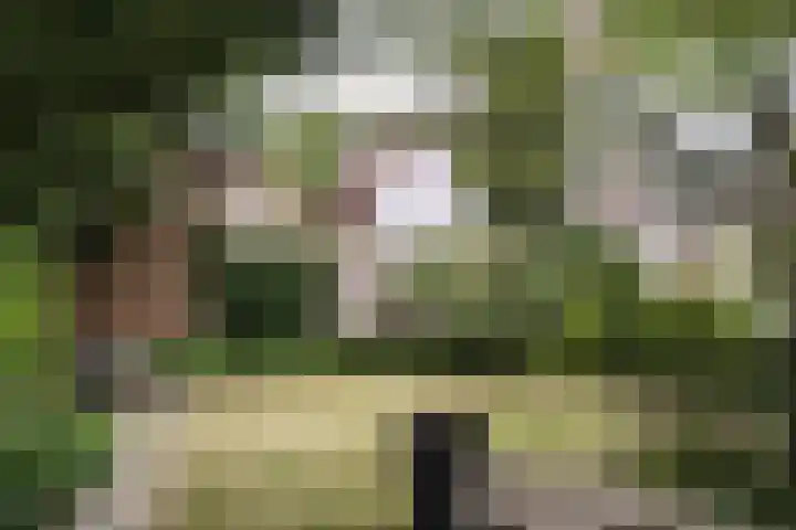 Westerhoutpark 3 Haarlem thumbnail 17