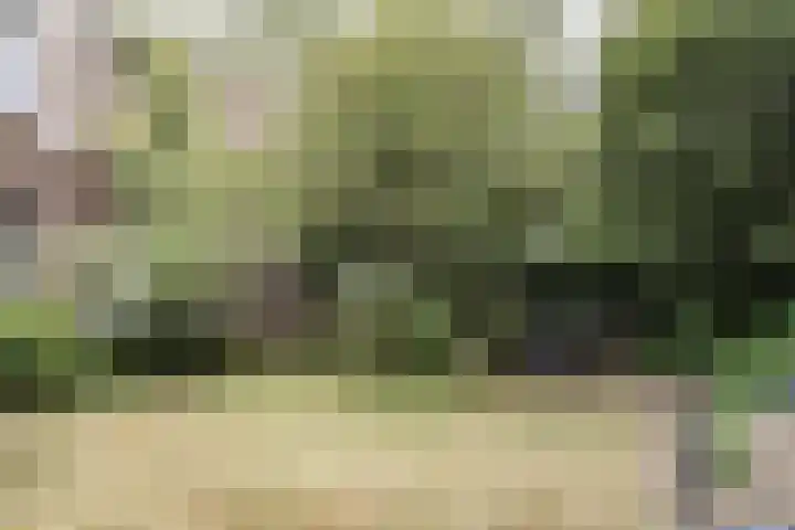 Westerhoutpark 3 Haarlem thumbnail 19