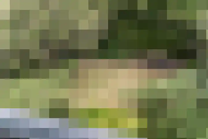 Westerhoutpark 3 Haarlem thumbnail 34