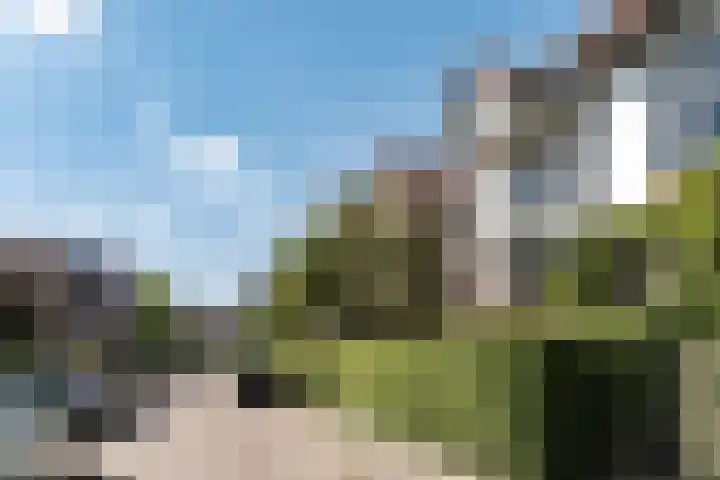 Westerhoutpark 3 Haarlem thumbnail 49