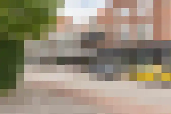 Westerhoutpark 49 Haarlem thumbnail 33