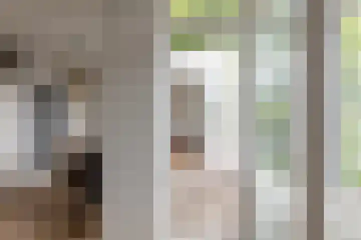 Westerhoutpark 49 Haarlem thumbnail 5