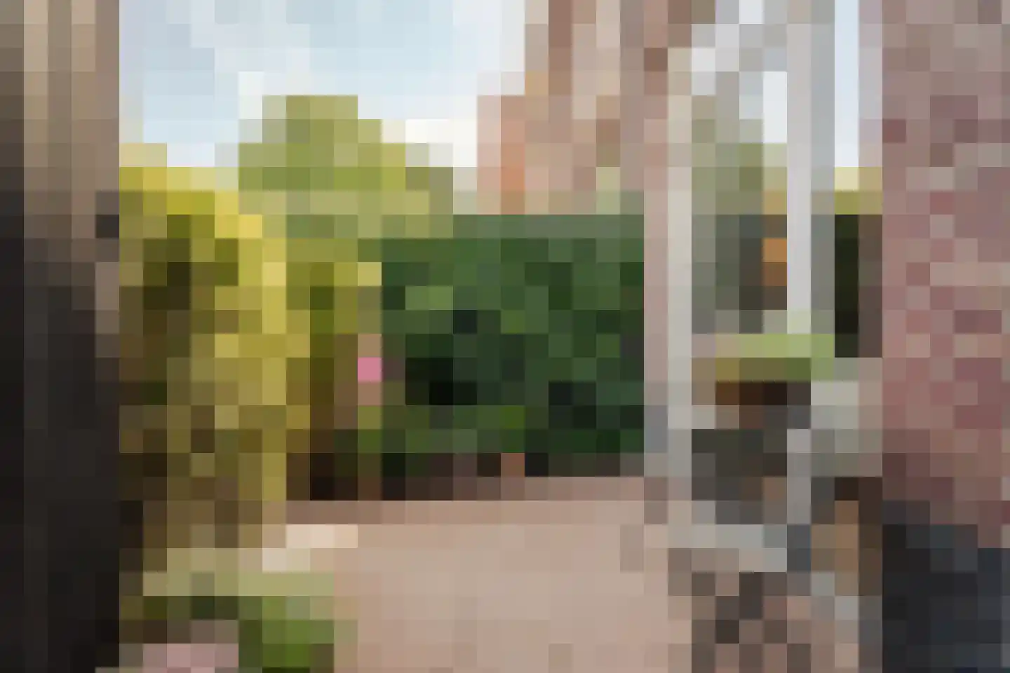 Westerhoutpark 52 Haarlem thumbnail 47