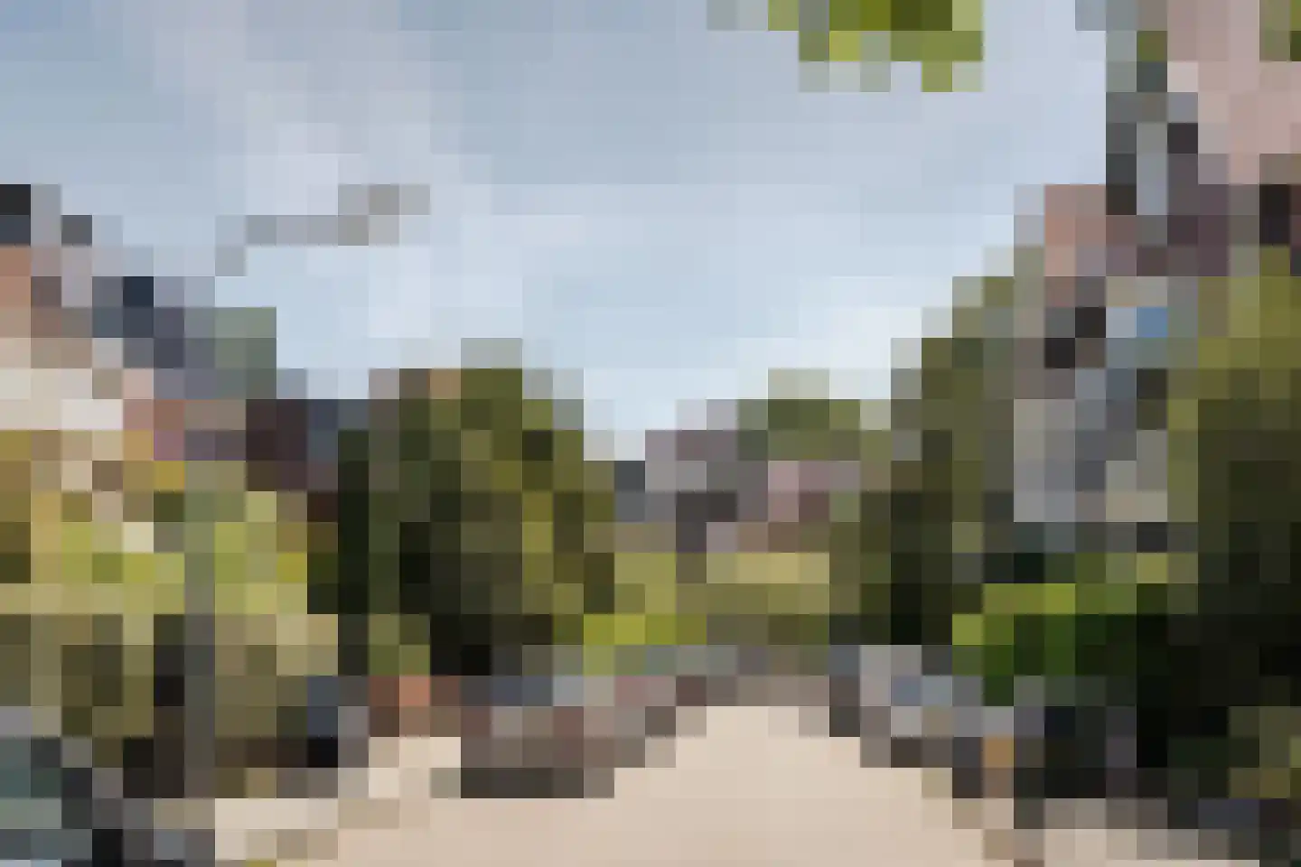 Westerhoutpark 52 Haarlem thumbnail 6