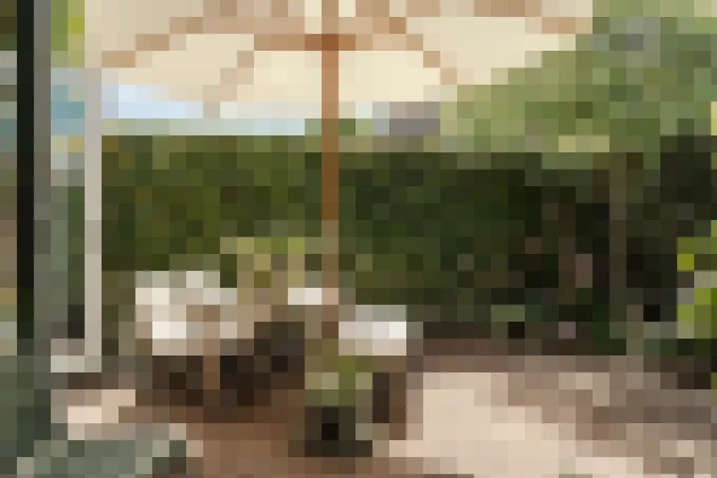 Westerhoutpark 52 Haarlem thumbnail 7