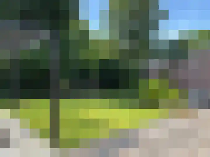 Westerhoutpark 8 Haarlem thumbnail 11
