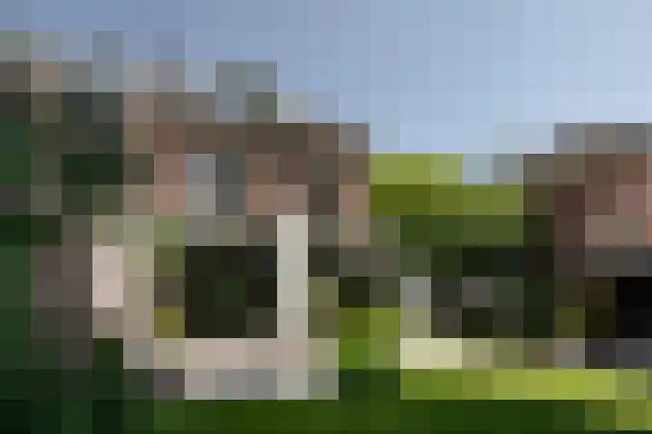 Westerhoutpark 8 Haarlem thumbnail 12