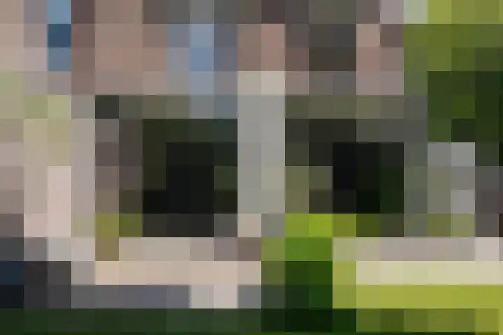 Westerhoutpark 8 Haarlem thumbnail 16