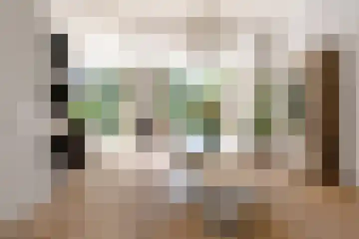 Westerhoutpark 8 Haarlem thumbnail 5