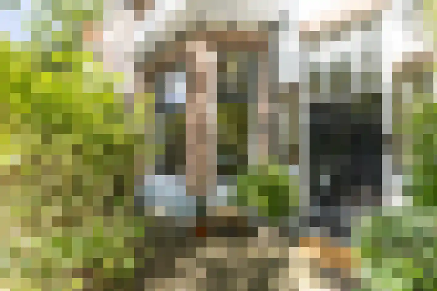 Westerhoutstraat 18 ZW Haarlem thumbnail 4