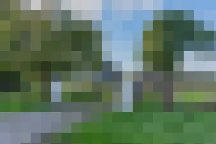 Westerhuizingerweg 43 Balkbrug thumbnail 23
