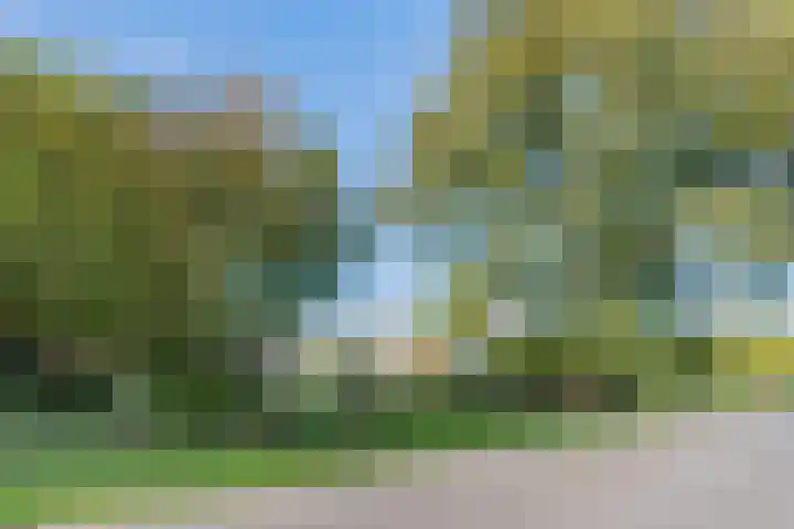 Westerhuizingerweg 43 Balkbrug thumbnail 36