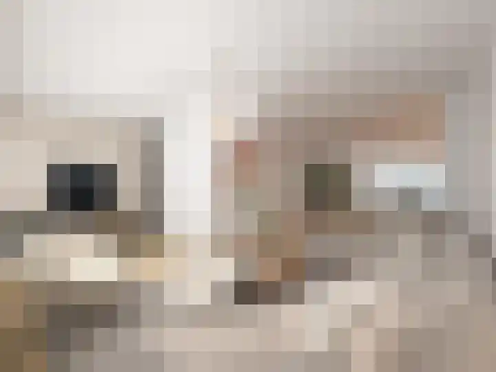 Westeringlaan 2 a Maasbree thumbnail 12