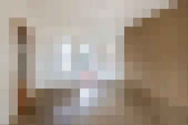 Westeringlaan 2 a Maasbree thumbnail 14