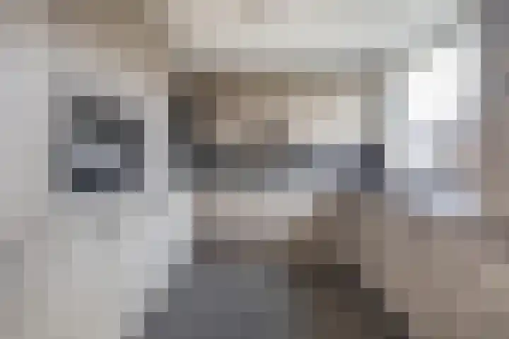 Westeringlaan 2 a Maasbree thumbnail 16