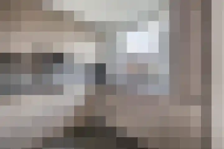 Westeringlaan 2 a Maasbree thumbnail 18