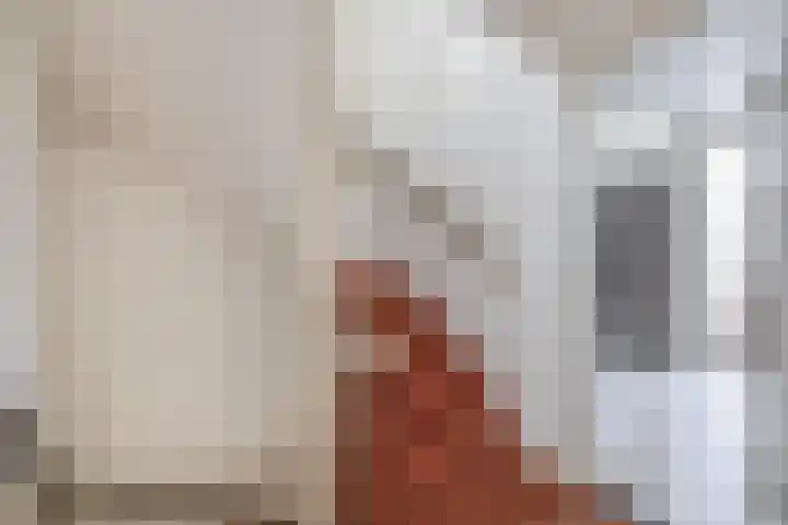 Westeringlaan 2 a Maasbree thumbnail 22