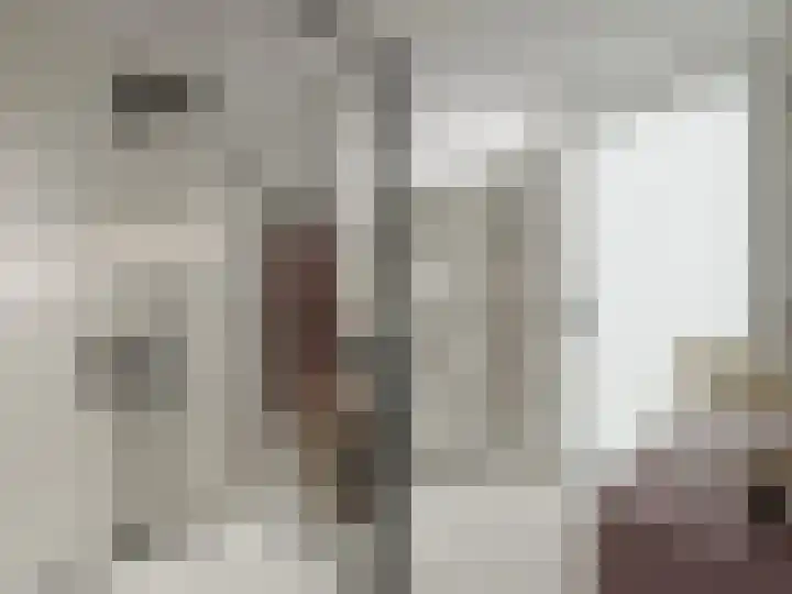 Westeringlaan 2 a Maasbree thumbnail 30