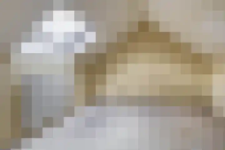 Westeringlaan 2 a Maasbree thumbnail 32