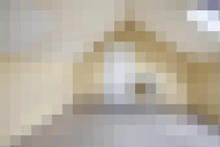 Westeringlaan 2 a Maasbree thumbnail 33