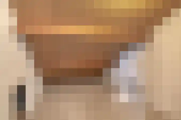 Westeringlaan 2 a Maasbree thumbnail 34