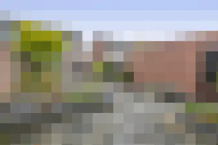 Westeringlaan 2 a Maasbree thumbnail 35