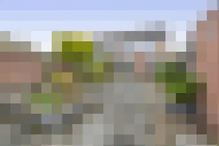 Westeringlaan 2 a Maasbree thumbnail 36