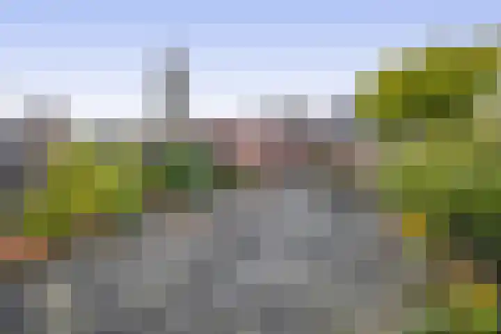 Westeringlaan 2 a Maasbree thumbnail 37