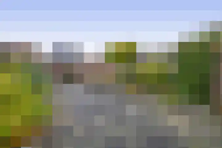 Westeringlaan 2 a Maasbree thumbnail 38