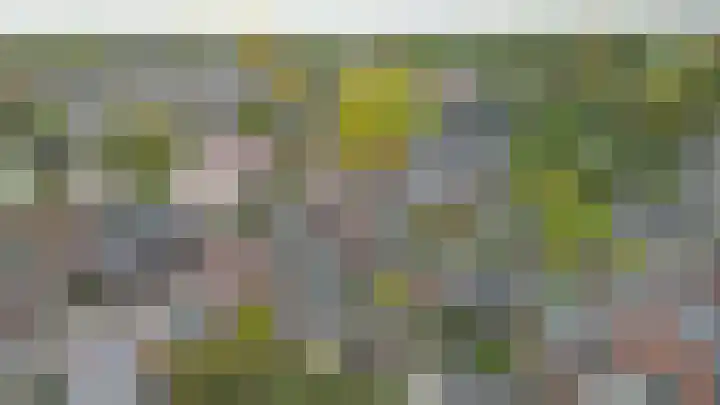 Westeringlaan 2 a Maasbree thumbnail 51