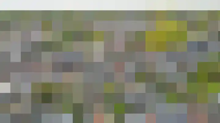 Westeringlaan 2 a Maasbree thumbnail 52