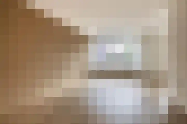 Westeringlaan 2 a Maasbree thumbnail 9