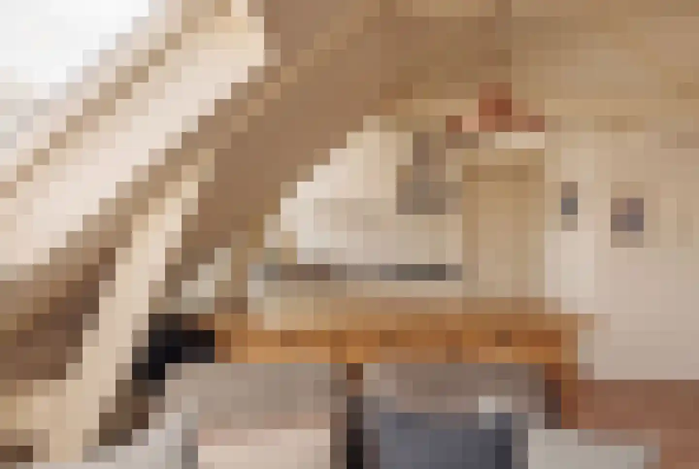 Westerkade 10 H Amsterdam thumbnail 12
