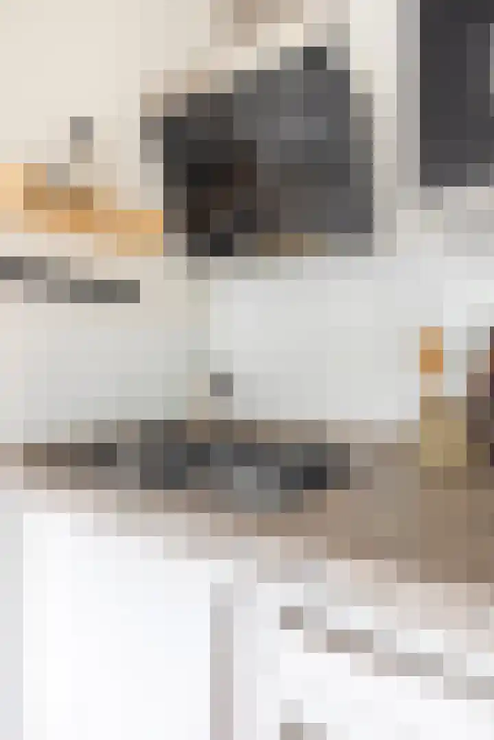 Westerkade 10 H Amsterdam thumbnail 13
