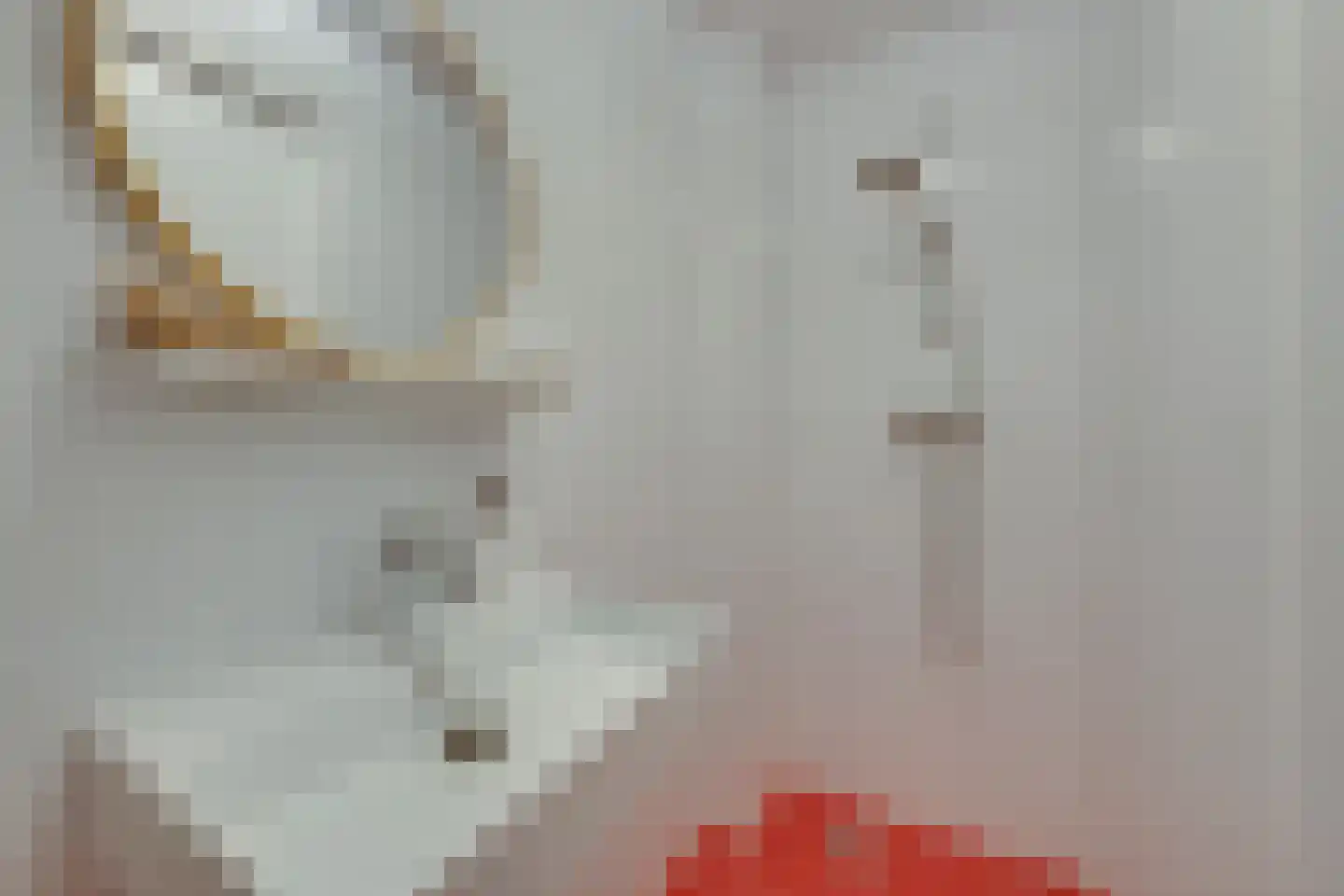 Westerkade 10 H Amsterdam thumbnail 19